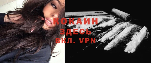 spice Арсеньев