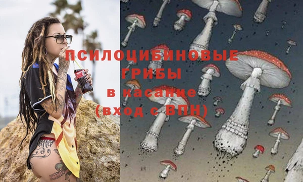 гидропоника Алексеевка
