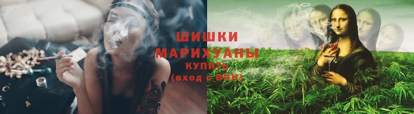 spice Арсеньев