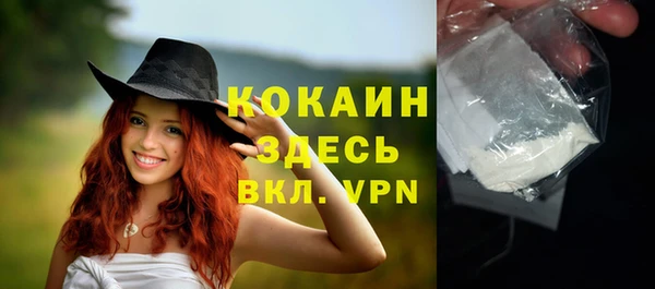 spice Арсеньев