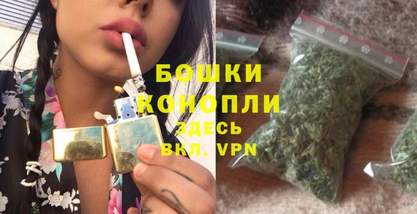 spice Арсеньев