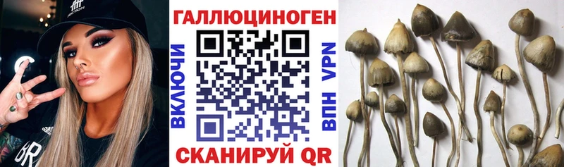 Псилоцибиновые грибы мухоморы  цены наркотик  Сольвычегодск 